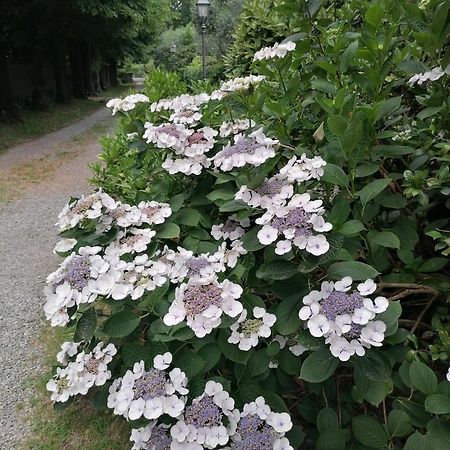 Lavanda Appartamento Vigliano Biellese Dış mekan fotoğraf